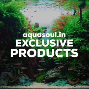 Aquasoul.in Exclusive Products