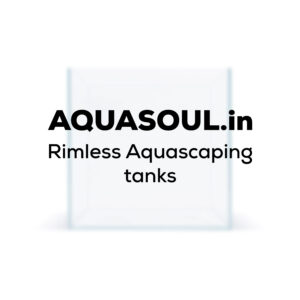 Rimless Aquascaping tanks