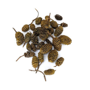 Alder Cones 25pcs